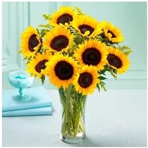 Meet your Posher, Isabel